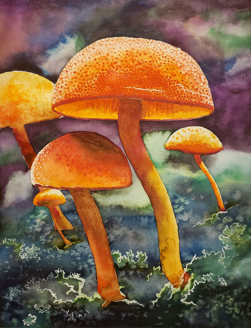 Mycology II, Watercolor on paper, 10½ x 13½