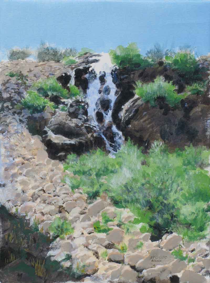 Galena Falls, Tahoe Rim Trail, Oil on canvas, 12 x 16
