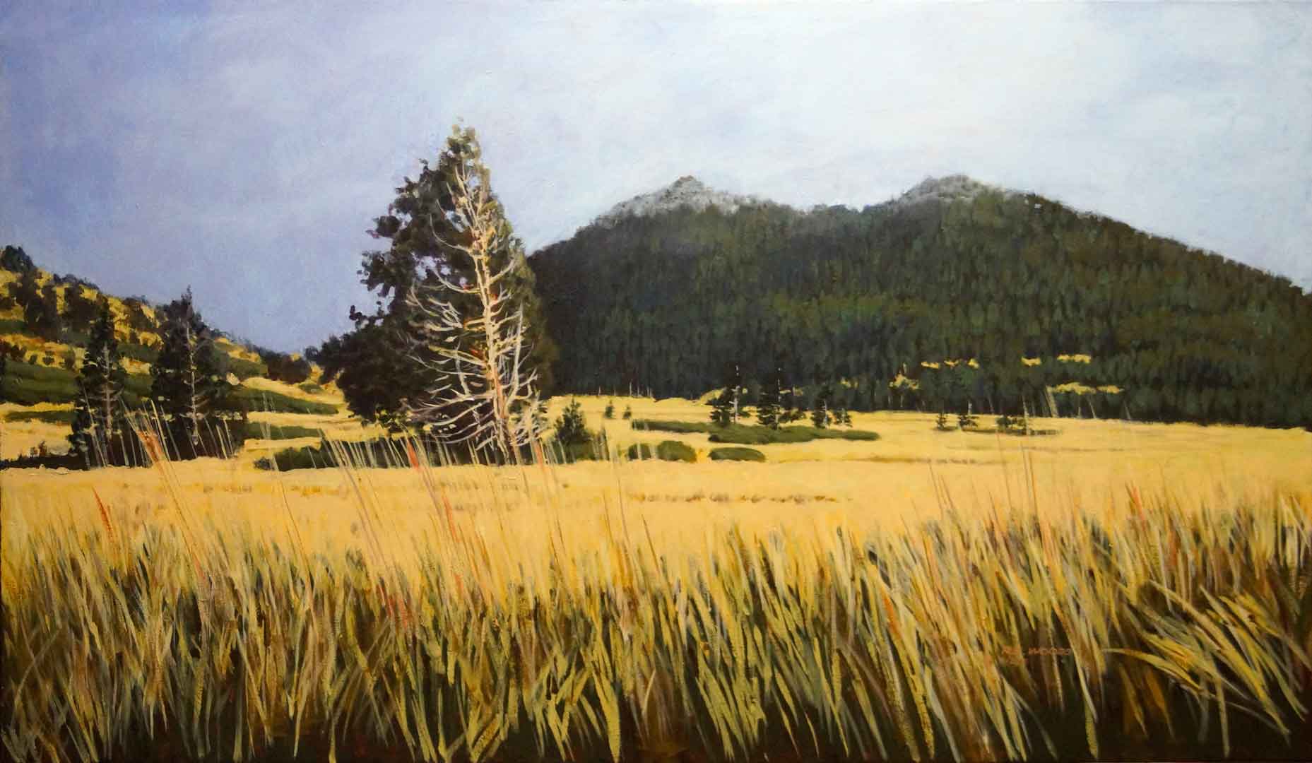 Tahoe Meadows II Revisited, Acrylic on canvas, 48 x 28