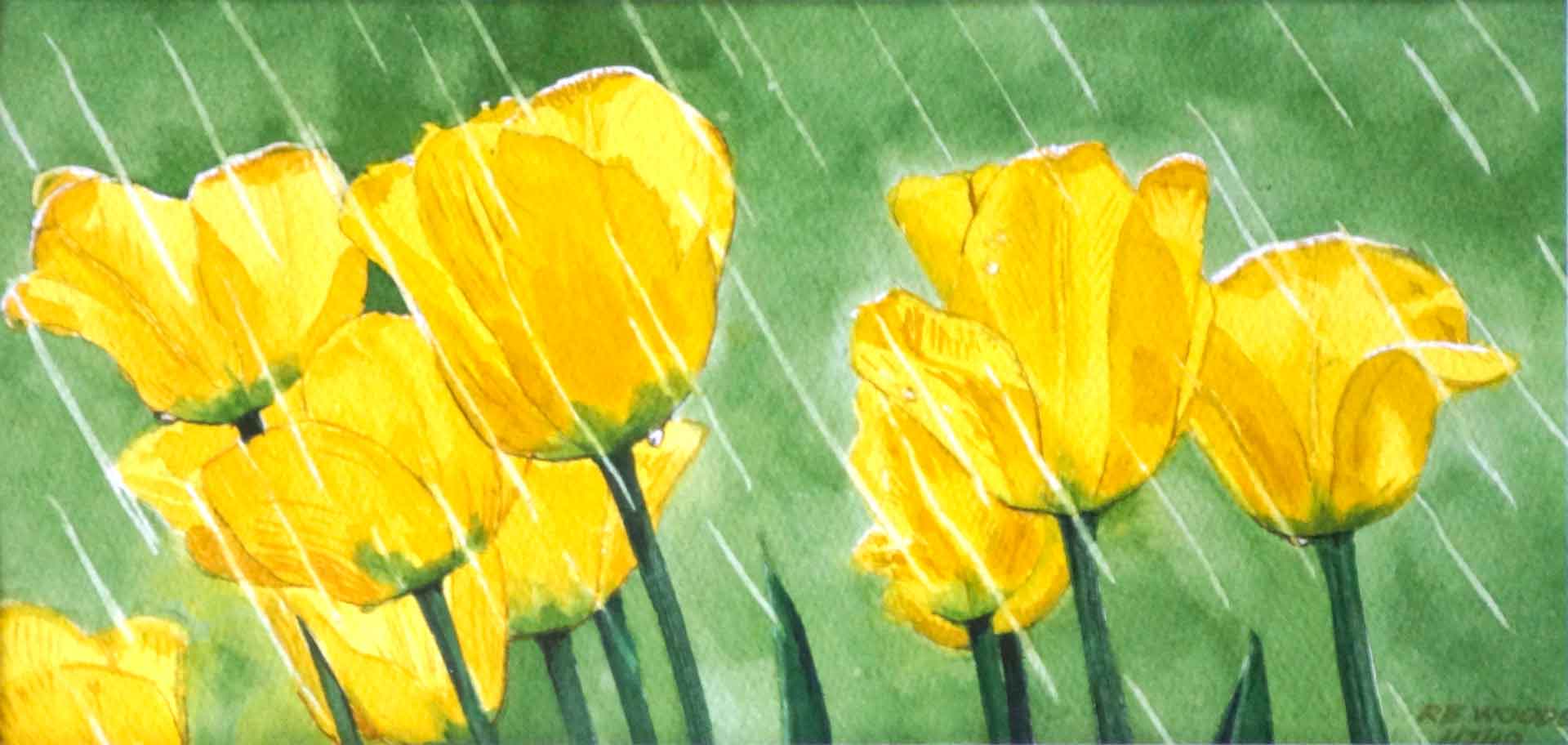 Tulips in Rain, Watercolor on paper, 16.5 x 6.25