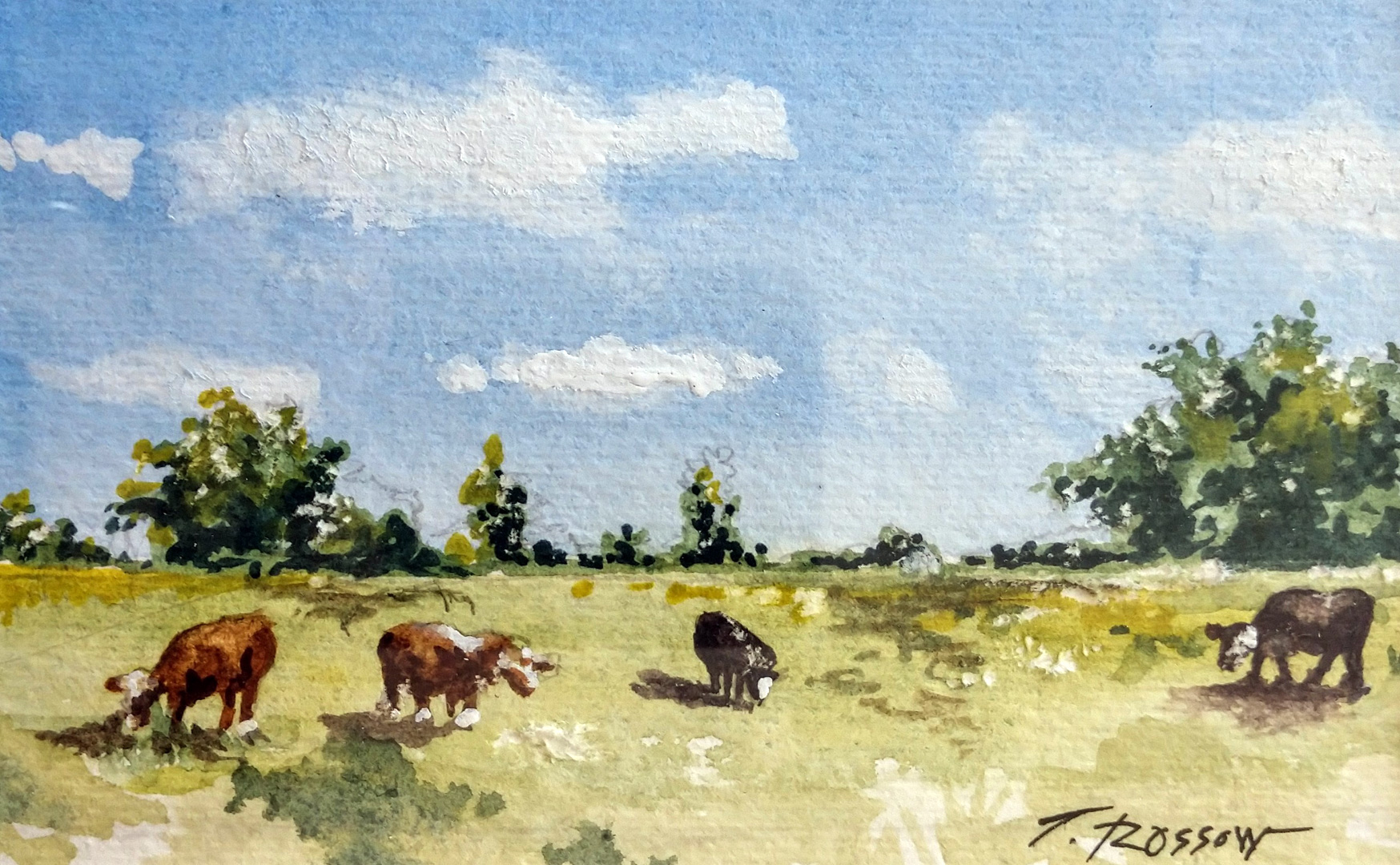 Cows in Field, Watercolor on paper, 5.5 x 4