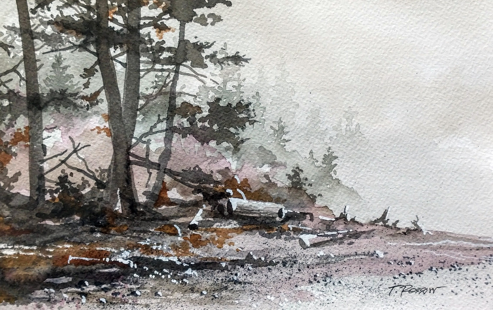 Ruby Beach Looking South, Watercolor on paper, 9 x 7